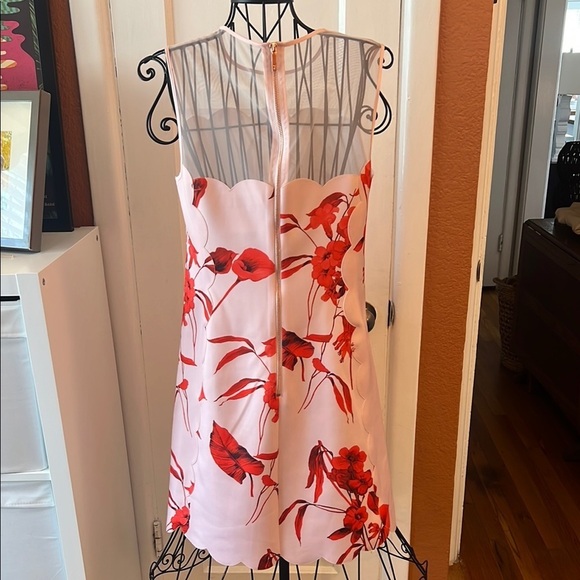 Ted Baker Jaazmin Fantasia-Print Mini Dress-Sz 2 - Picture 5 of 9